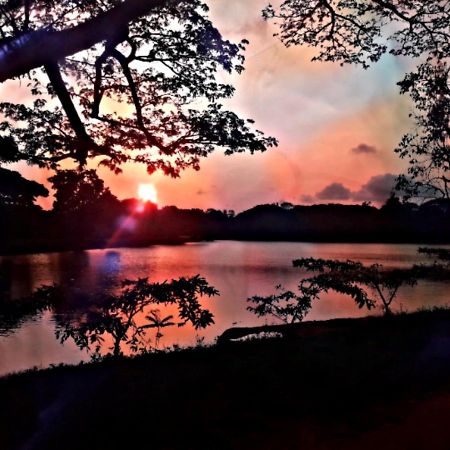 Lake View Dambulla Eksteriør billede