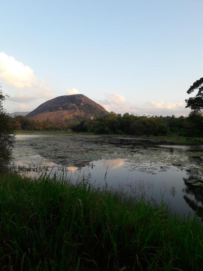 Lake View Dambulla Eksteriør billede